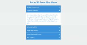 Read more about the article How To Create An FAQ Accordion Menu Using Only HTML & CSS