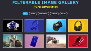 Read more about the article Responsive Filterable Image Gallery using HTML, CSS & Javascript