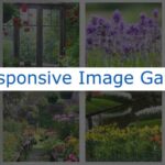 Responsive Image Gallery using HTML and CSS