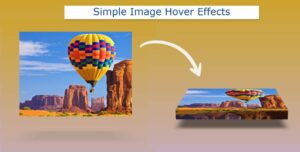 Read more about the article Simple Image Hover Effects using CSS