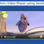 Create A Custom Video Player using JavaScript & HTML