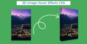 Read more about the article 3D Image Hover Effects Using CSS (Free Code)