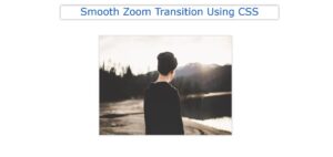 Read more about the article Smooth Zoom Transition Using CSS (Free Code)