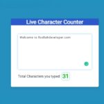 Simple Character Counter using JavaScript & CSS