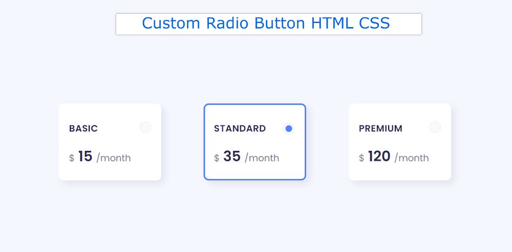 trone ulæselig Snestorm How To Create Custom Radio Button Using HTML CSS - foolishdeveloper.com