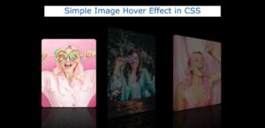 Read more about the article Simple Image Hover Effects in HTML & CSS