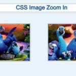 Smooth Background Image Zoom Using CSS (Free Code)