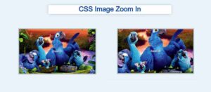 Read more about the article Smooth Background Image Zoom Using CSS (Free Code)