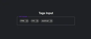 Create a Tags Input Box in HTML CSS & JavaScript