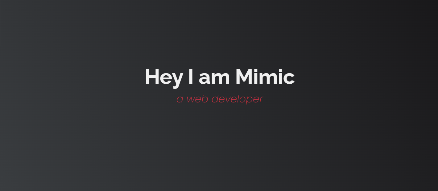 Personal Portfolio Website Using HTML and CSS Source Code